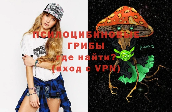 мескалин Коряжма
