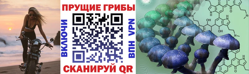 Купить закладки  Пермь  Псилоцибиновые грибы GOLDEN TEACHER 